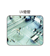 UV燈管